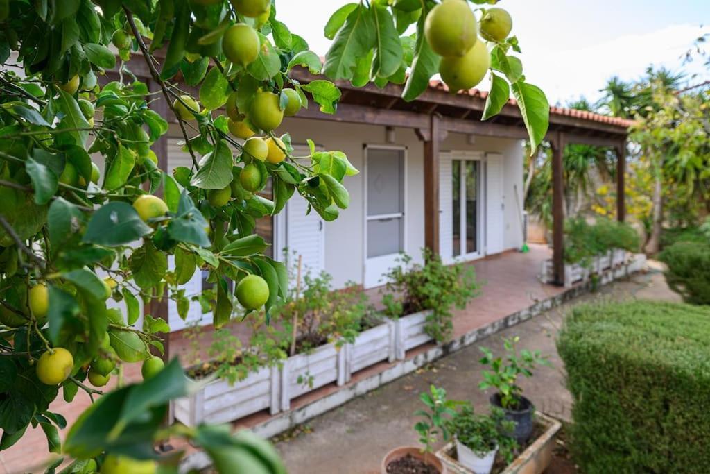 Farmbill Villa Markopoulo Mesogaias Luaran gambar